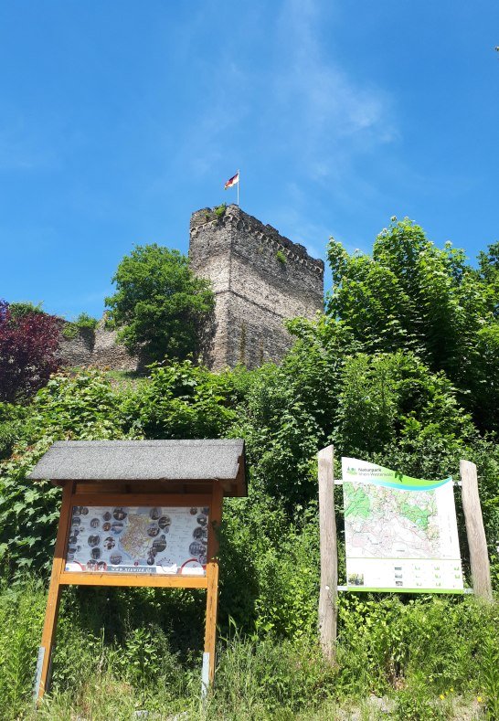 Burg mit Infotafeln | &copy; Romantischer Rhein Tourismus GmbH