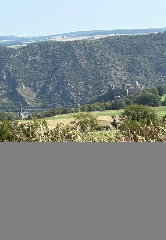 9 Fewo - Blick vom Ortsrand von Oberwesel-Dellhofe | &copy; Fam. Hartel Dellhofen