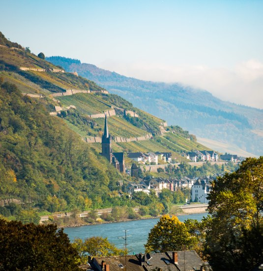 Lorchhausen | &copy; Henry Tornow