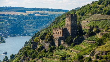 Burg Gutenfels inmitten der Weinberge | © Henry Tornow/Romantischer Rhein Tourismus GmbH Burg Gutenfels inmitten der Weinberge | © Henry Tornow/Romantischer Rhein Tourismus GmbH