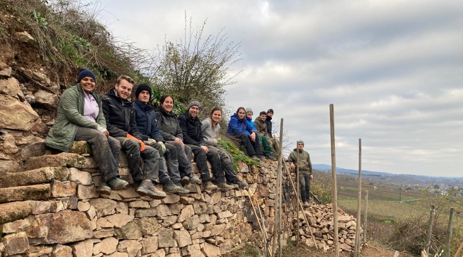 Trockenmauerbau in R&uuml;desheim | &copy; ZV Welterbe Oberes Mittelrheintal