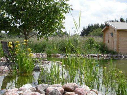 Teich | &copy; Thomas & Sonja Krautkr&auml;mer