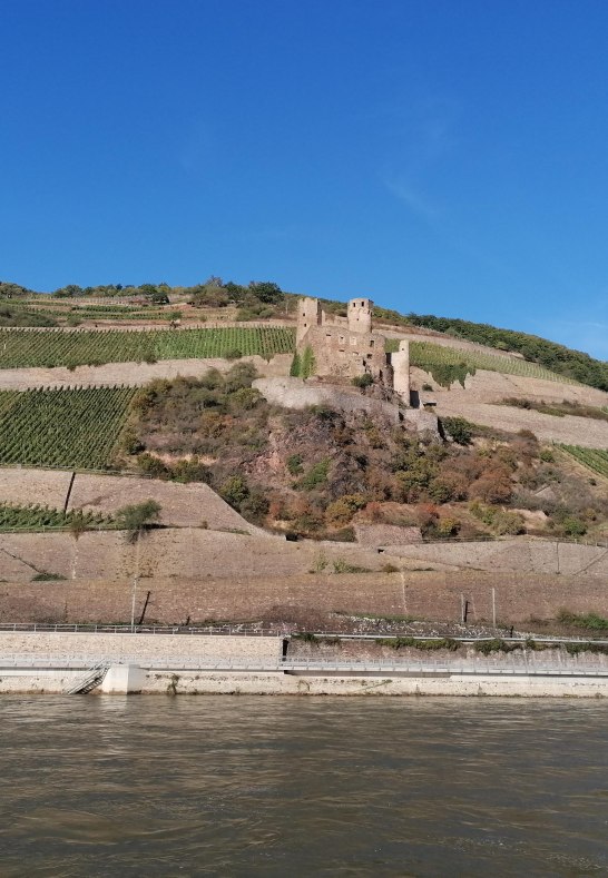 Ehrenfels | &copy; Anja Wegschimmel/Romantischer Rhein Tourismus GmbH