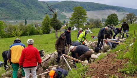 Trockenmauerkurs Filsen | &copy; ZV Welterbe Oberes Mittelrheintal