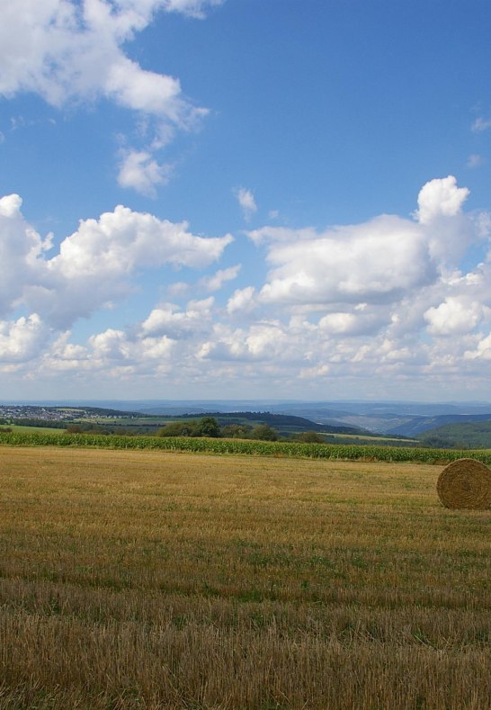 Blick auf Oppenhausen_1 | &copy; Margit Gronen