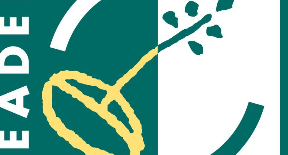 LEADER-Logo