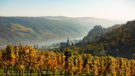 Blick über Oberwesel | © Henry Tornow Blick über Oberwesel | © Henry Tornow