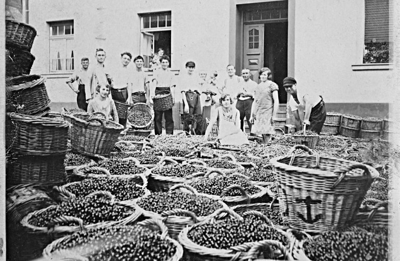 Kirschenablieferung 1928 in Kestert | © Norbert Güllering Kirschenablieferung 1928 in Kestert | © Norbert Güllering