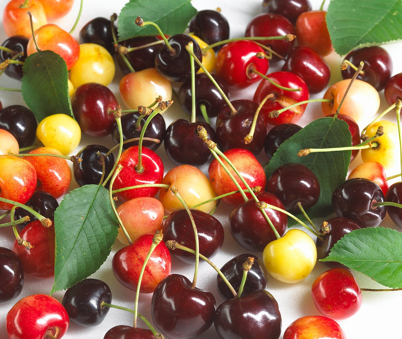 Kirschmischung | &copy; ZV Welterbe