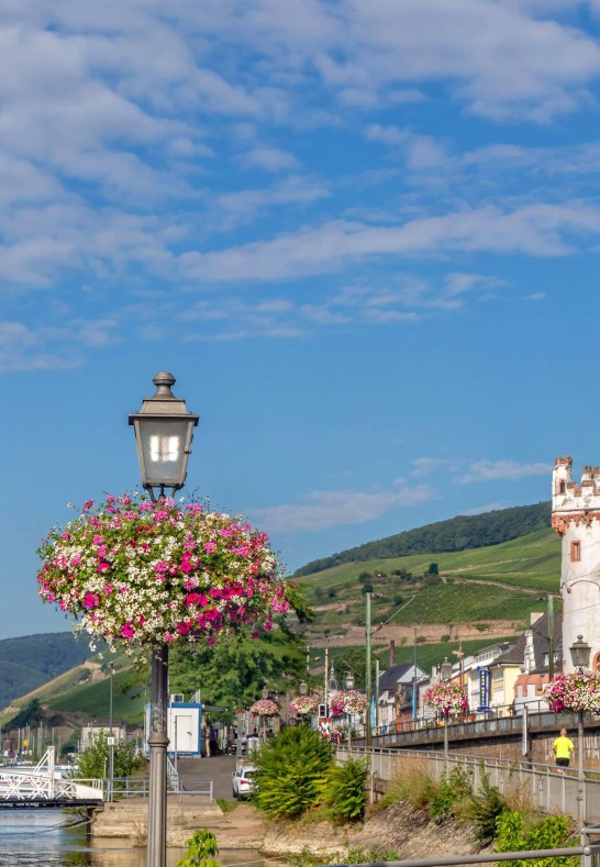 Hafenpark R&uuml;d 3 | &copy; Rheingau- Taunus Kultur und Tourismus GmbH