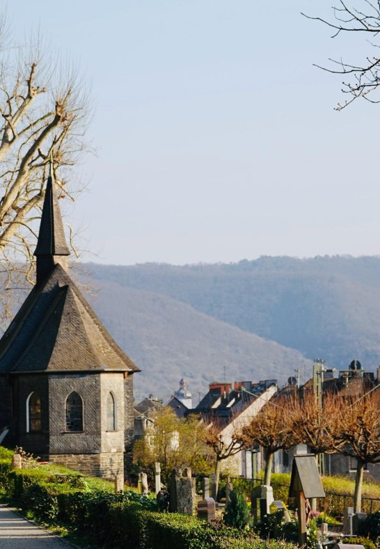 DSC03514 | © AnyaFi