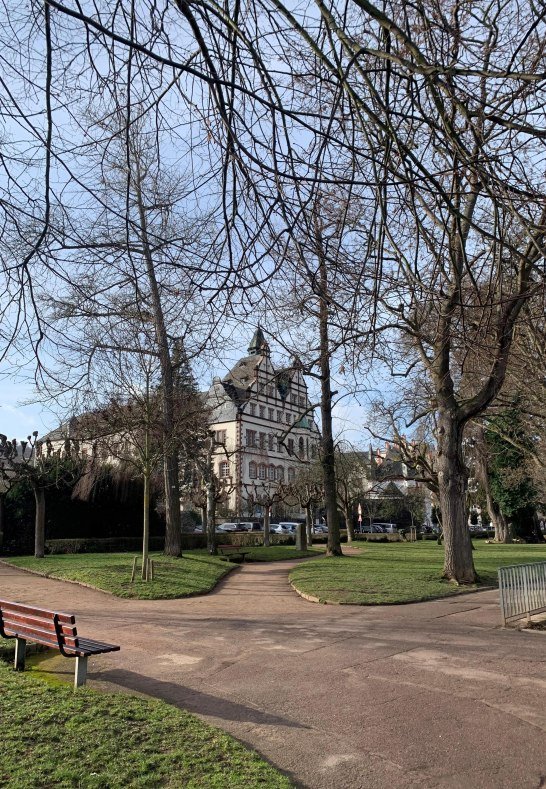Rheinanlagen Spaziergang | &copy; Tourist Information