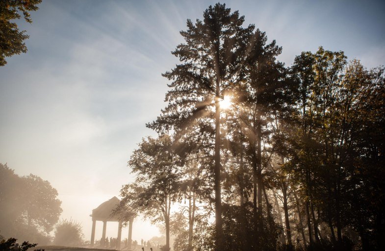 Osteinscher Niederwald Park | © HA Hessen Tourismus, k22 Osteinscher Niederwald Park | © HA Hessen Tourismus, k22