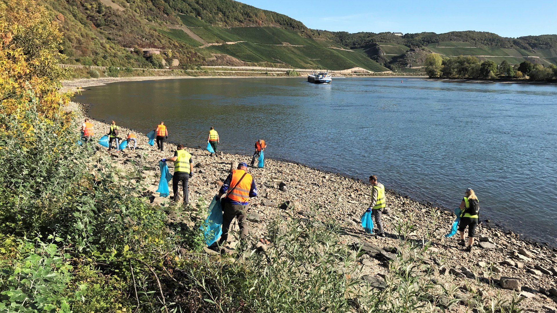 RhineCleanUp in Boppard | &copy; J&uuml;rgen Johann