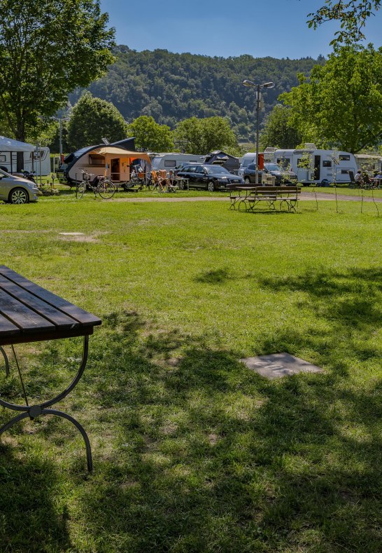 Campingplatz G&uuml;lser Moselbogen | &copy; Campingplatz G&uuml;lser Moselbogen