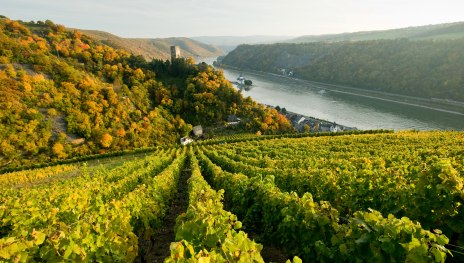 Blick auf die Pfalzgrafenstein | © Rheinland Pfalz Tourismus / Dominik Ketz