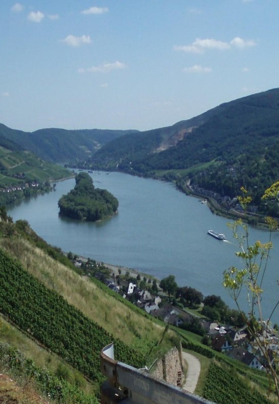 Ausblick von den Wanderwegen in Lorch | &copy; Brigitte Nies