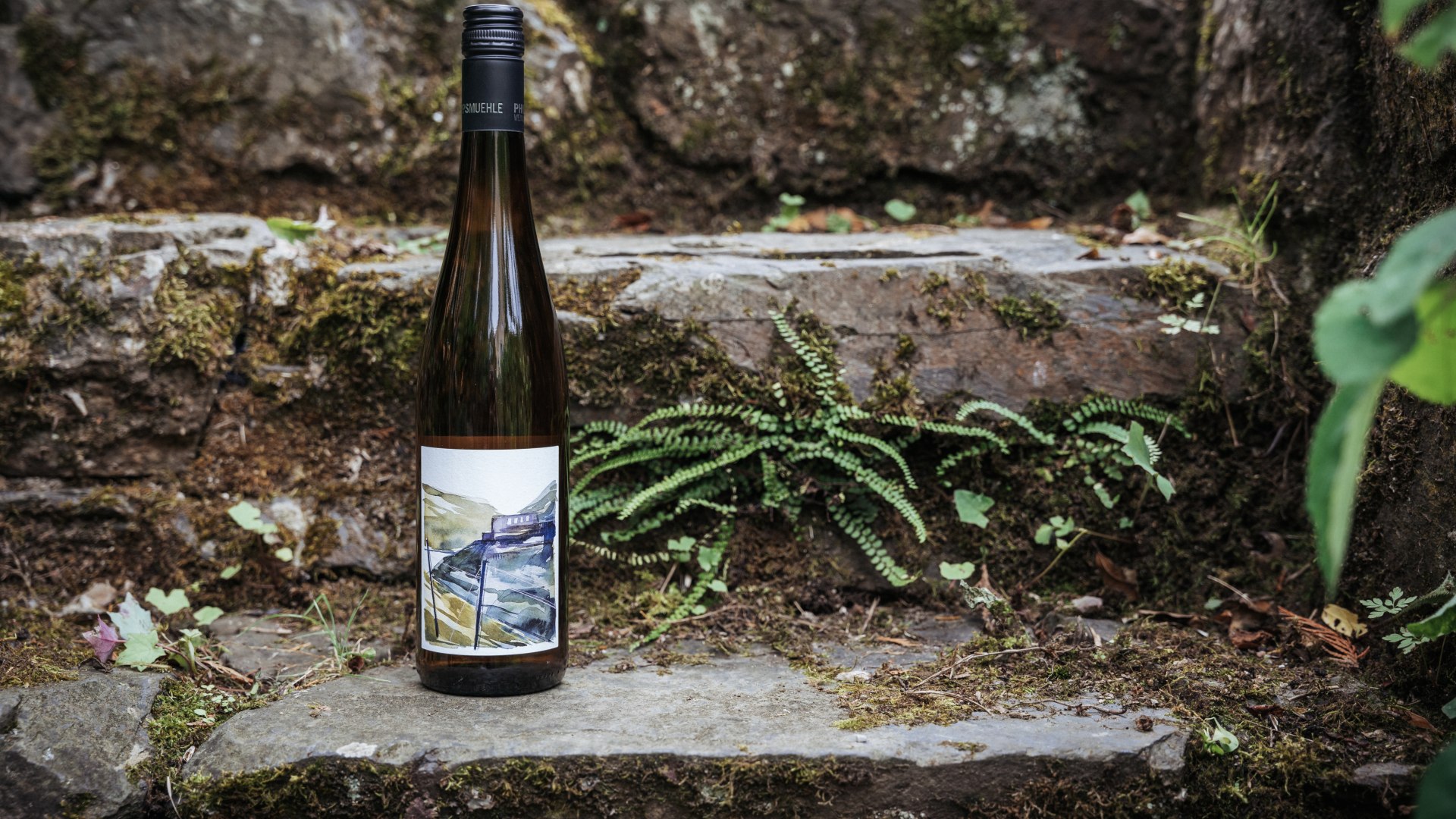 Welterbe Wein | © Felix Vollmer Welterbe Wein | © Felix Vollmer