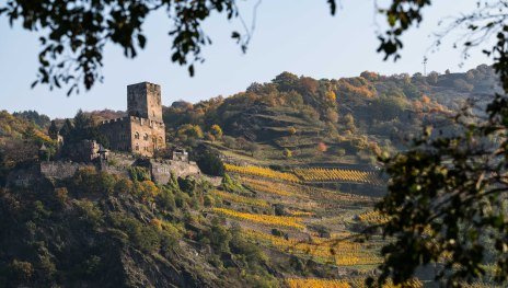 Gutenfels | &copy; P!EL