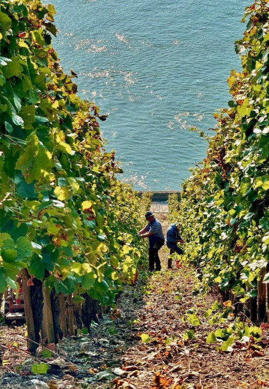 Lese 2024 15 | &copy; Fam.Lorenz