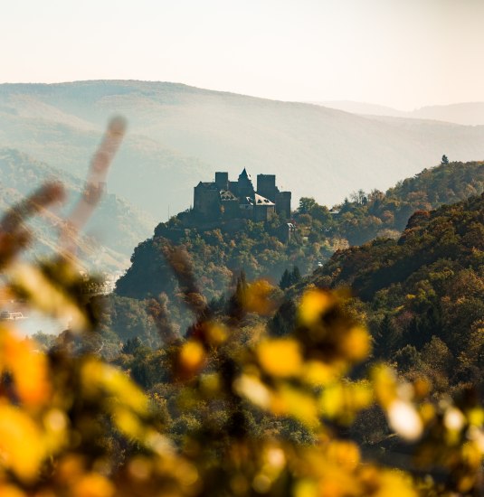 Blick auf die Sch&ouml;nburg | &copy; Henry Tornow