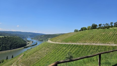 Loreley-Touristik: Blick von Nocherner Hütte ins Rheintal | © UlrikeDalmmann
