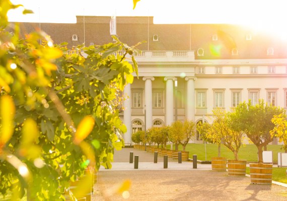 Kurf&uuml;rstliches Schloss im Sonnenaufgang | &copy; Johannes Bruchhof