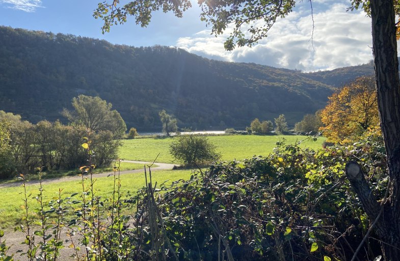 Moselchalet Koblenz Ausblick Herbst | &copy; Stefanie K&auml;fer