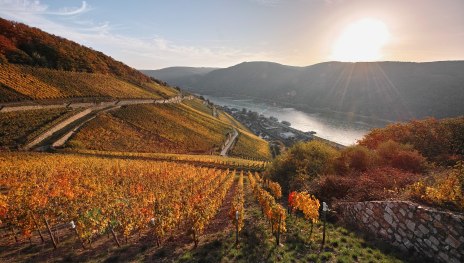 Assmannshausen  | &copy; www.kulturland-rheingau.de - Rheingau-Taunus Kultur und Tourismus GmbH - Horst Goebel