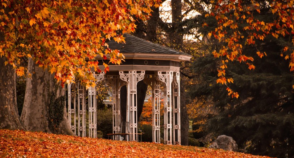 Herbst | &copy; Koblenz-Touristik GmbH / Johannes Bruchhof