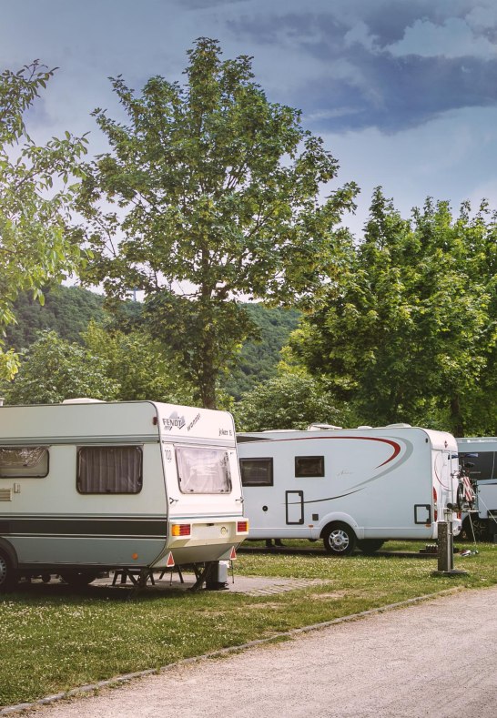 Stellpl&auml;tze | &copy; Campingplatz G&uuml;lser Moselbogen
