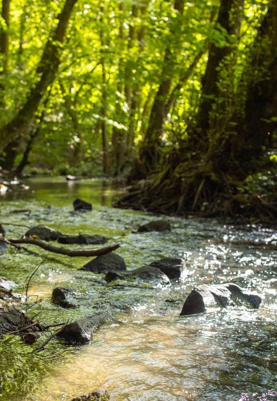 Lebensader | © evand_fotografie Lebensader | © evand_fotografie