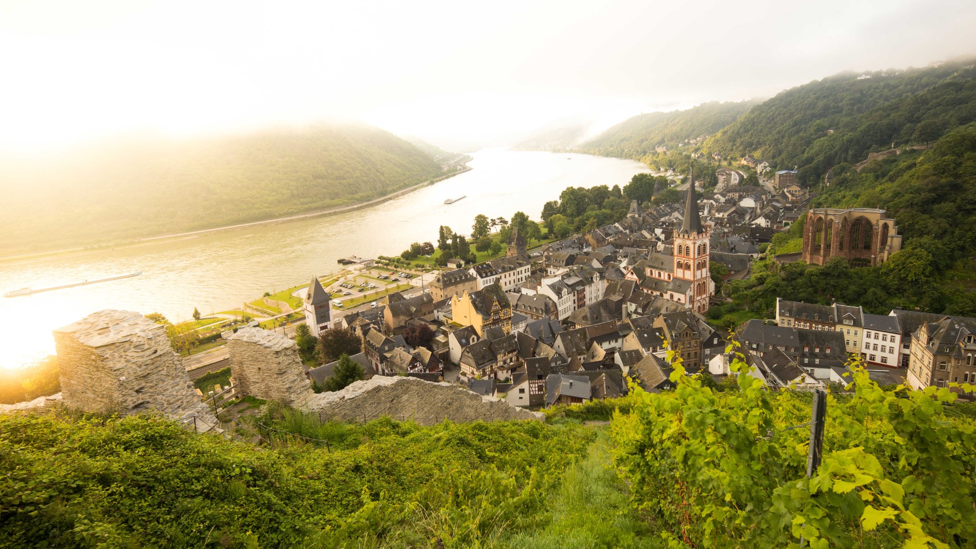 Hoch &uuml;ber Bacharach | &copy; P!EL
