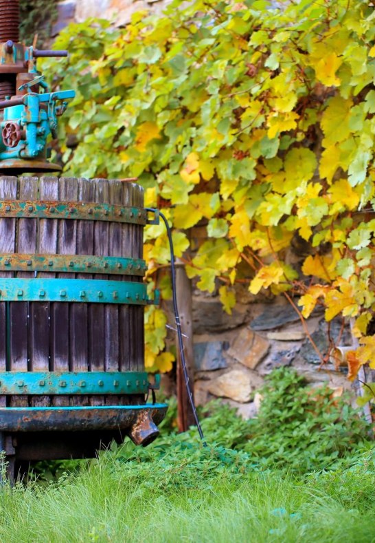 Kelter Weingut Altenkirch | &copy; Frau G&ouml;ttert