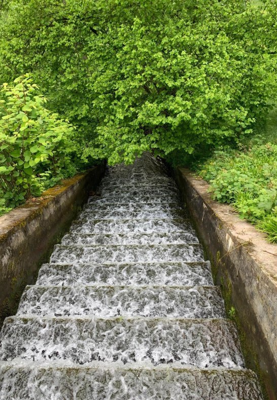 Marienberger Park 4 | &copy; Tourist Information Boppard