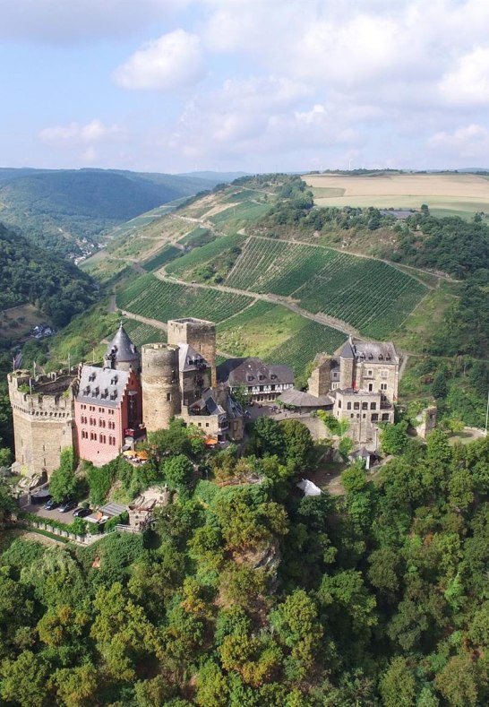 Weingut Lanius Knab Engeh&ouml;ller Bernstein VDP.Erste | &copy; Lanius-Knab
