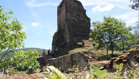 Die Welterbe Volunteers waren auf der Ruine Stahlberg in Bacharach Steeg im Einsatz.  | &copy; ZV Welterbe 