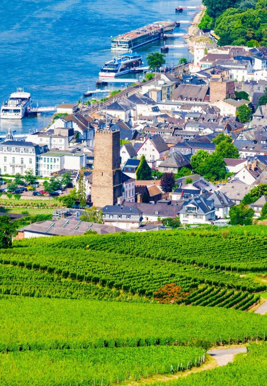 Blick auf die Stadt Rüdesheim | © iStock