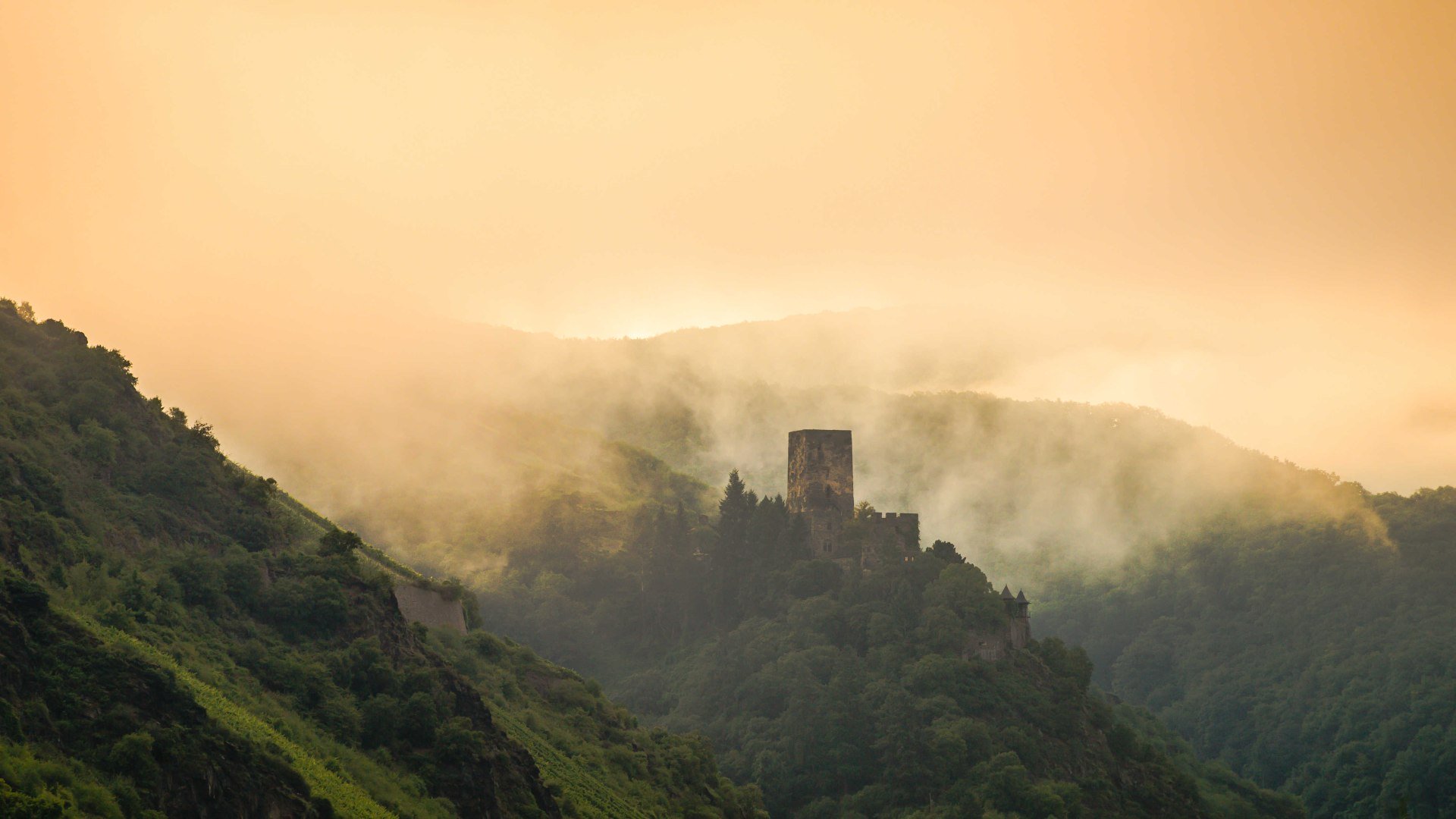 Burg im Morgenlicht | © P!EL