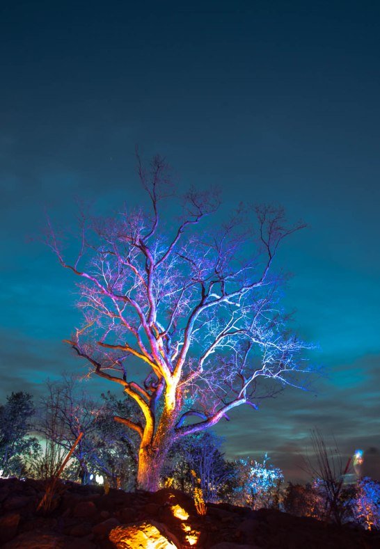 rheinleuchten: Loreley 2019 | &copy; Lucky Luxem