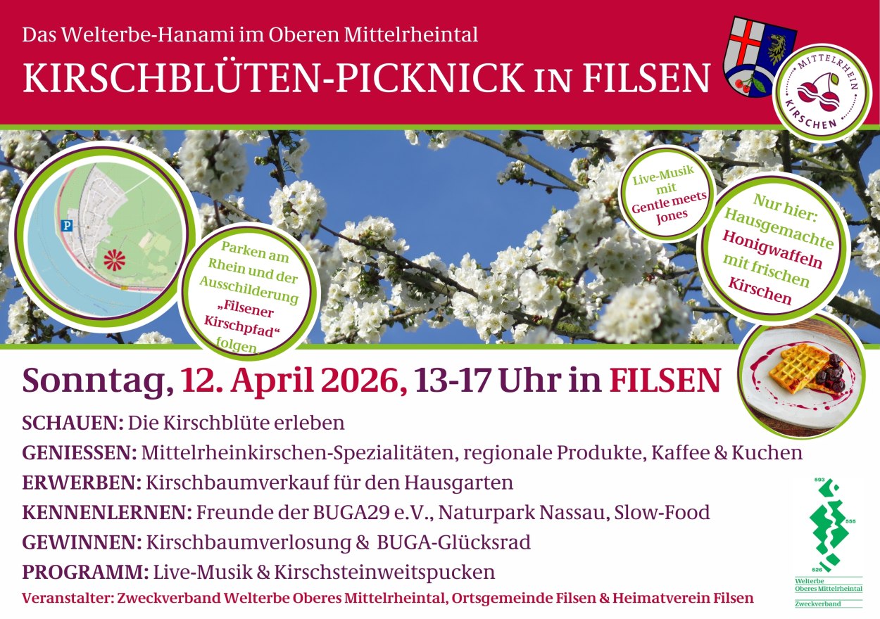 Kirschblütenpicknick 2026