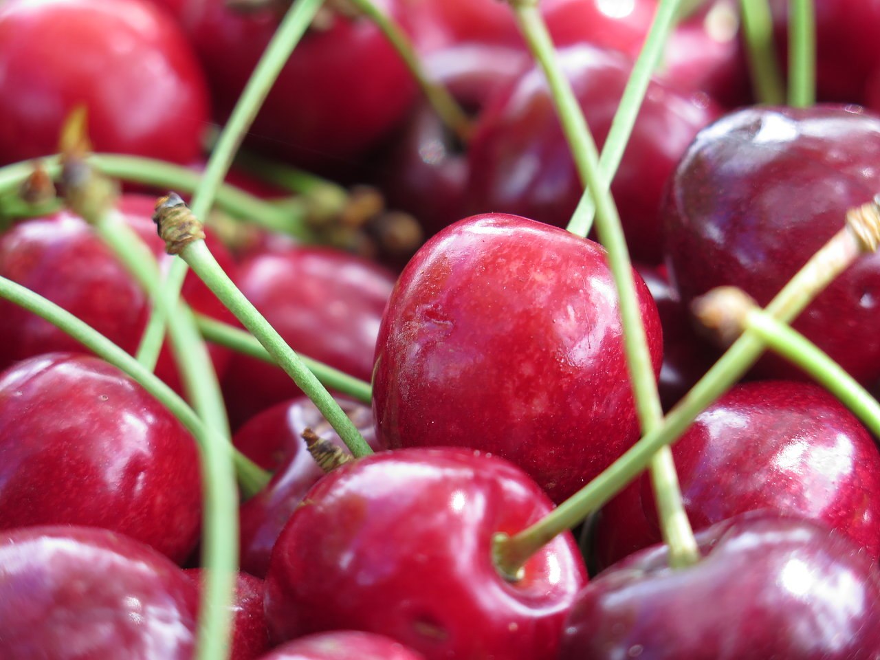 Kirschernte | &copy; ZV Welterbe