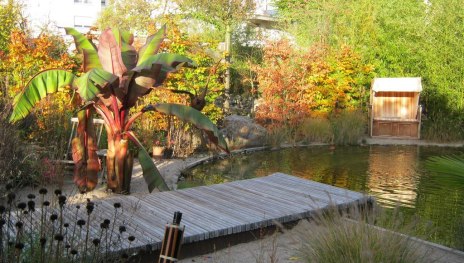 Modernes Design | &copy; G&auml;rtnerei Degen