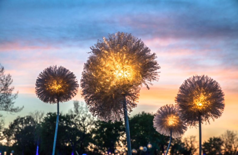 rheinleuchten: Loreley 2019 | &copy; Lucky Luxem