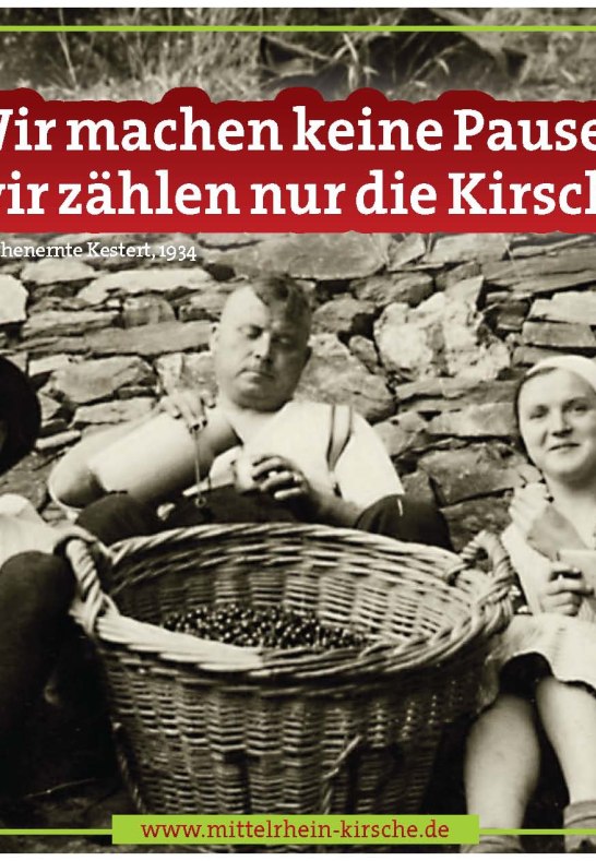 Wir machen keine Pause, wir z&auml;hlen nur die Kirschen. | &copy; ZV Welterbe / Christian B&uuml;ning