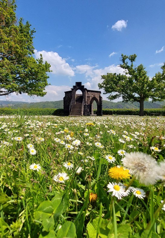 Königsstuhl Frühling | © Tourist-Information Erlebnis Rheinbogen Königsstuhl Frühling | © Tourist-Information Erlebnis Rheinbogen