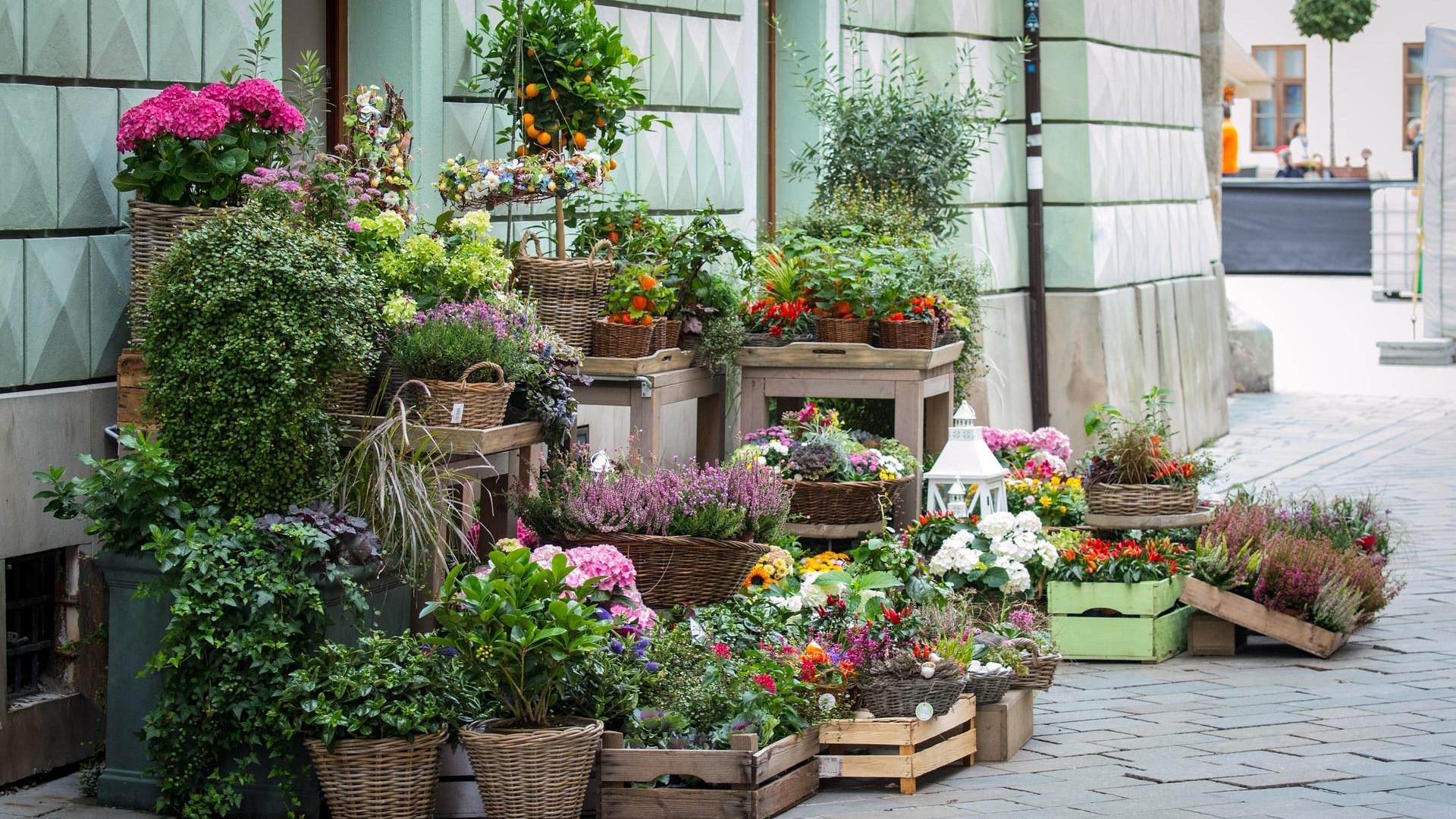 Blumenbasar | &copy; Pixabay