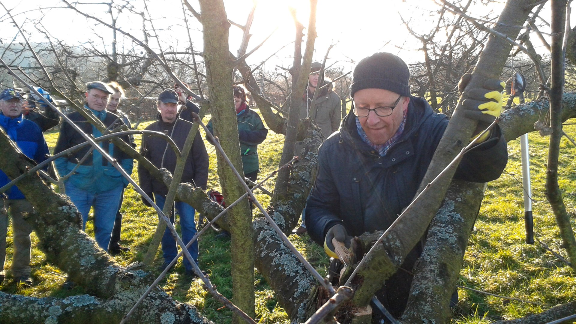 Schnittseminar | &copy; ZV Welterbe