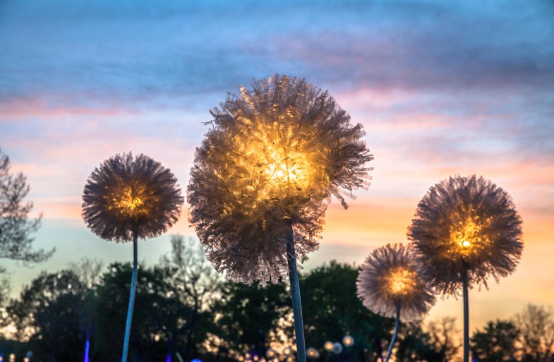 rheinleuchten: Loreley 2019 | © Lucky Luxem rheinleuchten: Loreley 2019 | © Lucky Luxem