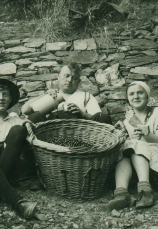 Pause bei der Kirschernte | © Bach Pause bei der Kirschernte | © Bach